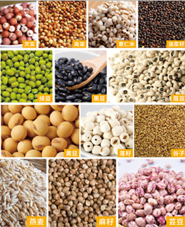 技術(shù)文獻(xiàn) 